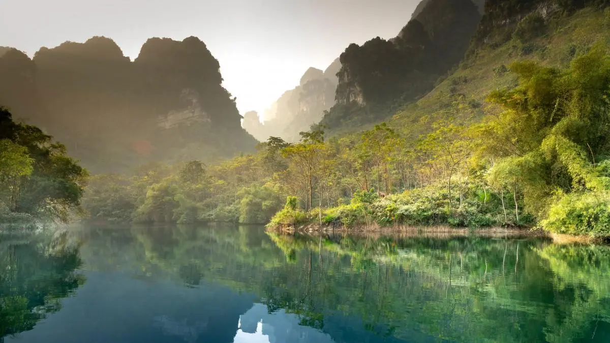 绿色可靠性